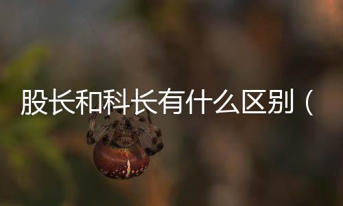 股長和科長有什么區(qū)別（股長）