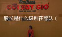 股長是什么級別在部隊(duì)（股長是什么）