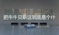 肥牛牛貝斯這到底是個什么梗?