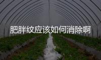 肥胖紋應該如何消除啊