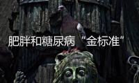 肥胖和糖尿病“金標準”術式的胃手術
