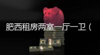 肥西租房兩室一廳一衛（肥西租房）