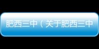 肥西三中（關于肥西三中的基本情況說明介紹）