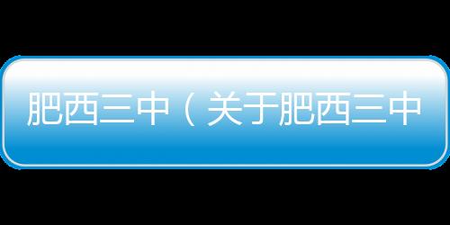 肥西三中（關于肥西三中的基本情況說明介紹）