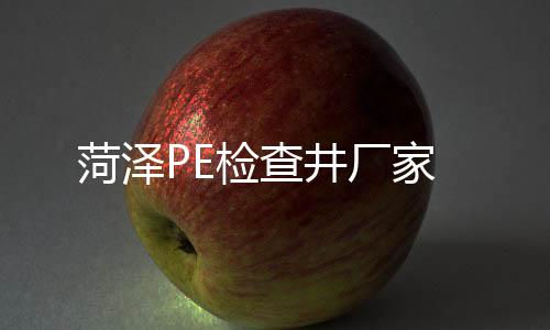 菏澤PE檢查井廠家