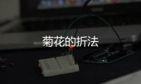 菊花的折法