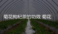 菊花枸杞茶的功效 菊花枸杞茶怎么泡好喝