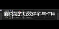 菊花菜的功效詳解與作用科普