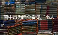 菌中毒為啥會(huì)看見(jiàn)“小人人”？云南專家解答