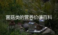 菌菇類的營養價值百科