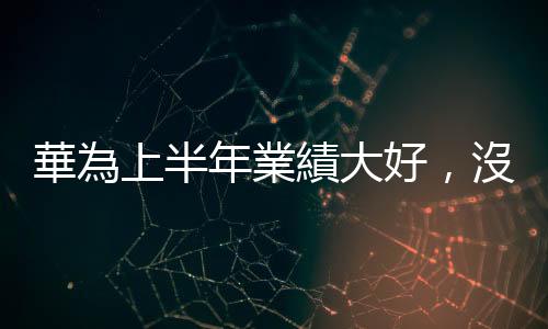 華為上半年業(yè)績大好，沒說的事｜天下雜誌