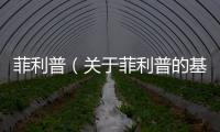 菲利普（關于菲利普的基本情況說明介紹）