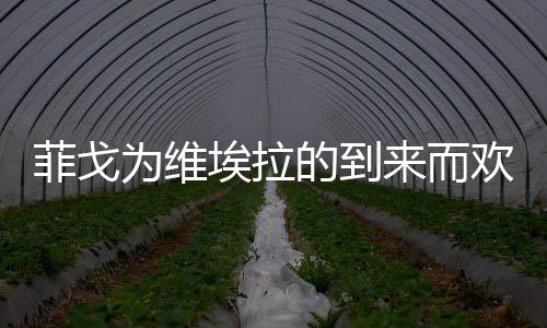 菲戈為維埃拉的到來而歡呼