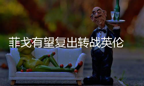 菲戈有望復出轉戰英倫 佐拉努力置購小饅頭