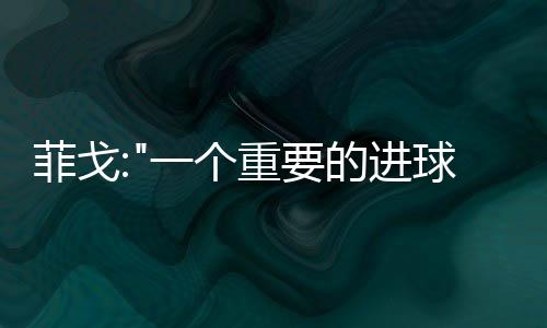 菲戈: