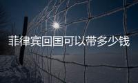 菲律賓回國可以帶多少錢 菲律賓旅游需不需要換比索