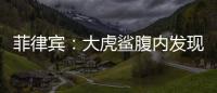 菲律賓：大虎鯊腹內發(fā)現(xiàn)人頭和殘肢 發(fā)出惡臭