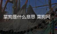 菜狗是什么意思 菜狗網絡語什么意思