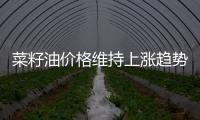 菜籽油價格維持上漲趨勢