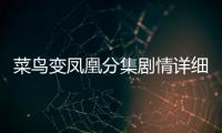 菜鳥變鳳凰分集劇情詳細介紹38