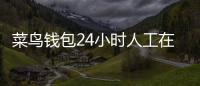 菜鳥(niǎo)錢(qián)包24小時(shí)人工在線客服電話