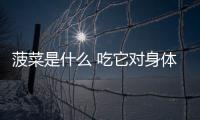 菠菜是什么 吃它對身體有這些好處