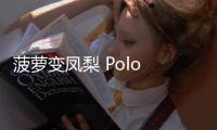 菠蘿變鳳梨 Polo Plus升級(jí)后不和飛度玩了