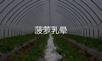菠蘿乳暈