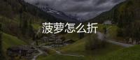 菠蘿怎么折