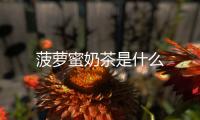 菠蘿蜜奶茶是什么