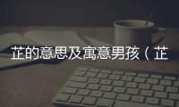 芷的意思及寓意男孩（芷的意思及寓意）