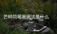 芒種簡筆畫畫法是什么  芒種簡筆畫步驟