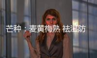 芒種：麥黃梅熟 祛濕防暑