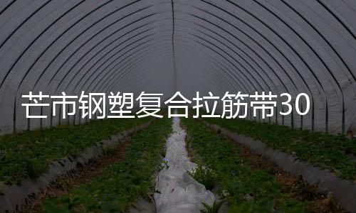 芒市鋼塑復合拉筋帶30020C性能