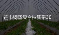 芒市鋼塑復合拉筋帶30020C性能