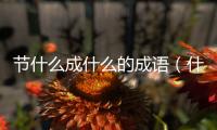 節什么成什么的成語（什么節什么生成語）