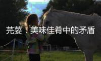芫荽：美味佳肴中的矛盾之星