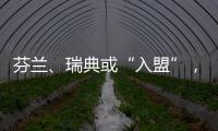 芬蘭、瑞典或“入盟”，北約擴(kuò)張的“楚河漢界”丨智庫(kù)視點(diǎn)