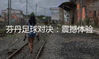 芬丹足球對決：震撼體驗！