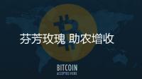 芬芳玫瑰 助農(nóng)增收