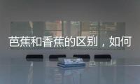 芭蕉和香蕉的區(qū)別，如何區(qū)分香蕉和芭蕉