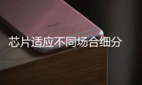 芯片適應不同場合細分 引導監控產業健康成長