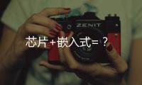 芯片+嵌入式=？