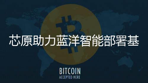 芯原助力藍洋智能部署基于Chiplet架構的芯片產品