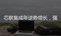 芯聯集成年逆勢增長，強化研發鞏固領先地位