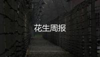 花生周報