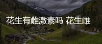 花生有雌激素嗎 花生雌激素含量高嗎