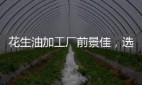 花生油加工廠前景佳，選擇鄭州企鵝糧油機械助力油廠發展
