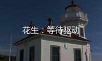 花生：等待驅(qū)動