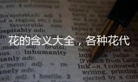 花的含義大全，各種花代表的含義
